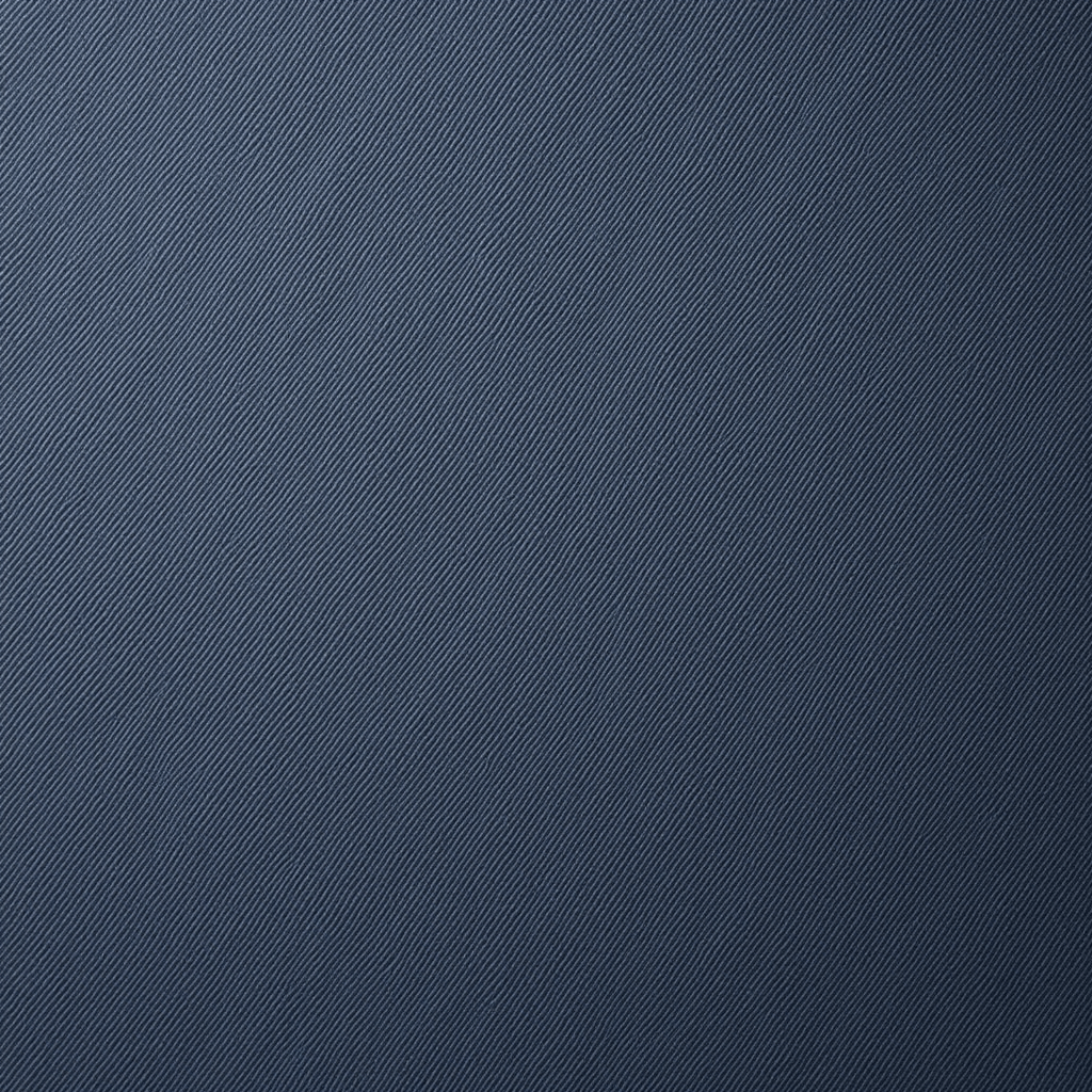 Seventh example of an image without an anomaly.